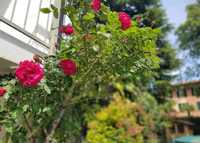 Casa Emilia Донго